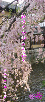 Kyoto_Sakura Logo
