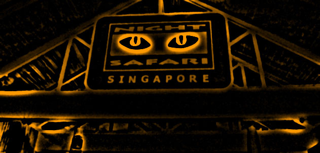 Singapore Photo