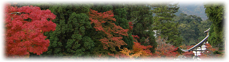 京都の紅葉画像